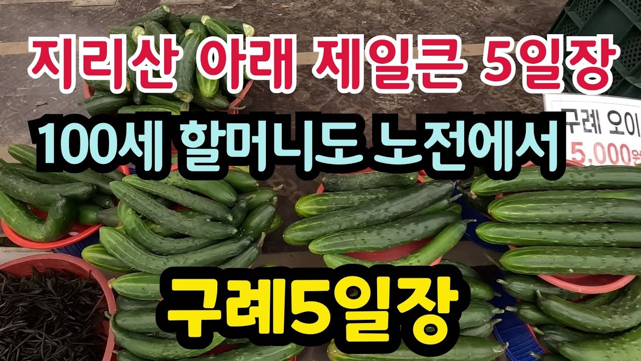 영호남이 어우러지는 구례5일장