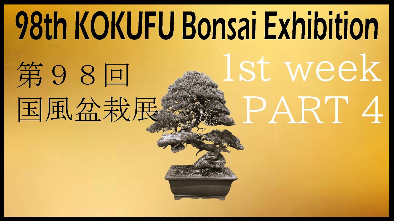 98th KOKUFU BONSAI EXHIBITION 2024 /02/9~12 1st week. 第98回国風盆栽展（前期）PART.4