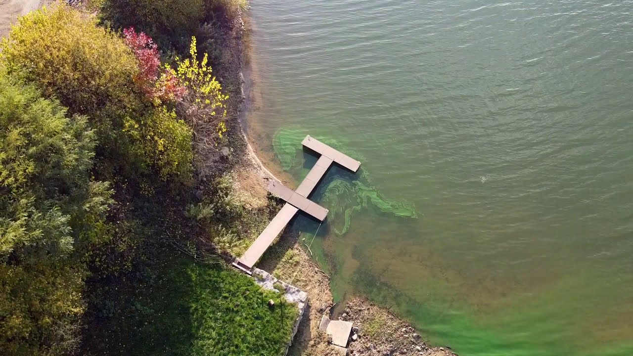 Doma&scaron;a - November 2020