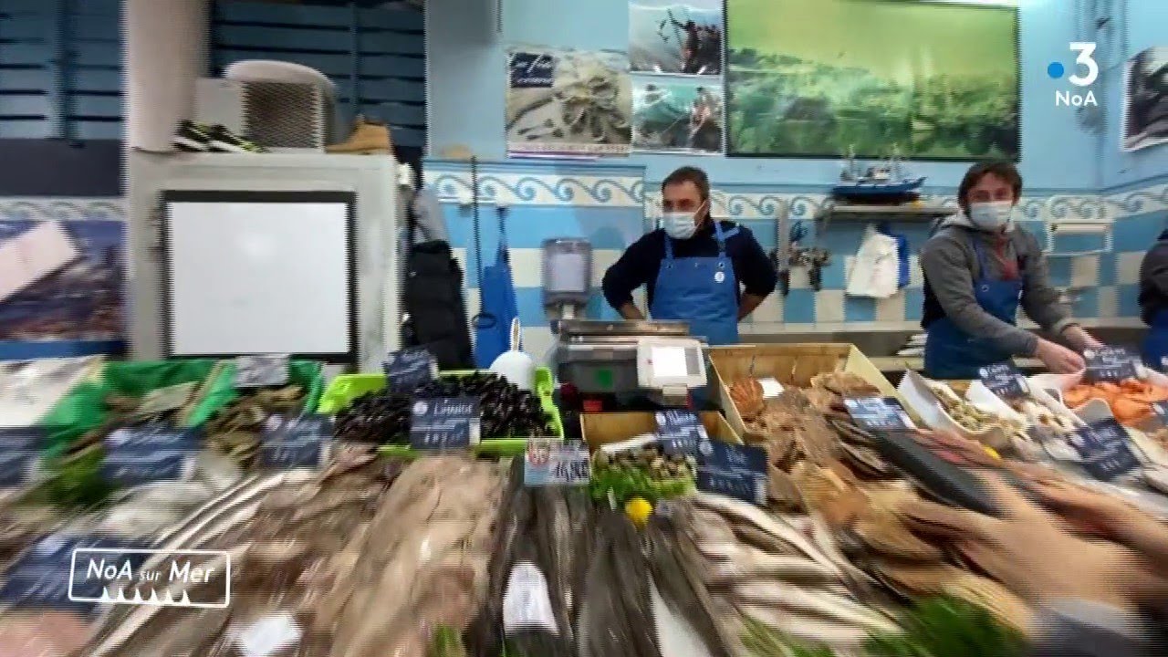 NoA sur Mer #19 : les produits de la mer à Saint-Jean-de-Luz (64)