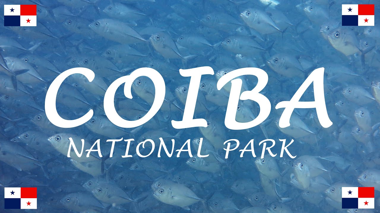 Dive in the National Park of Coiba, Santa Catalina Panama