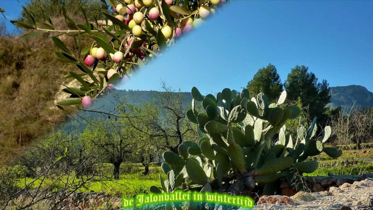 COSTA BLANCA JALON VALLEI.wmv