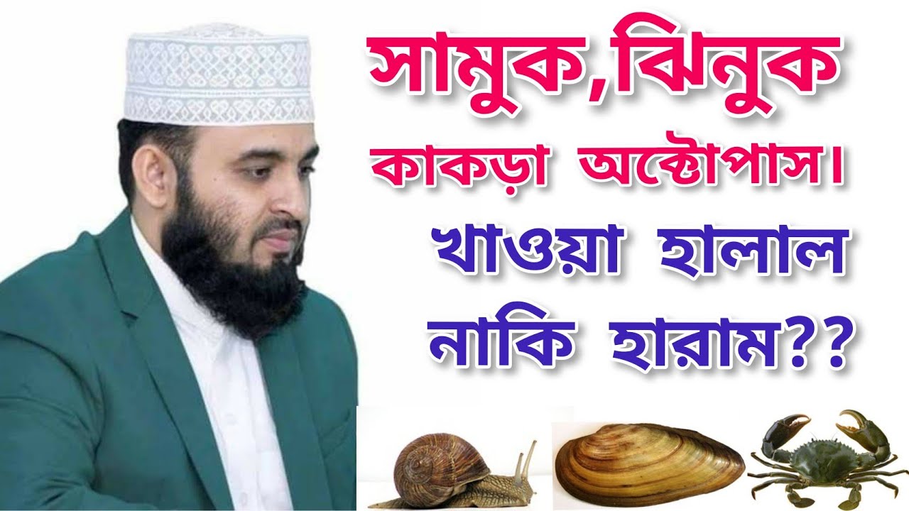 শামুক ঝিনুক কাকড়া খাওয়া হালাল নাকি হারাম?|মিজানুর রহমান আজহারী | বাংলা ওয়াজ | mizanur Rahman azhari