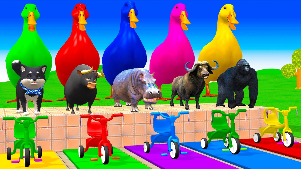 Long Slide Game With Cow Elephant Gorilla Hippopotamus Tiger 3d Animal Game Funny 3d Animals