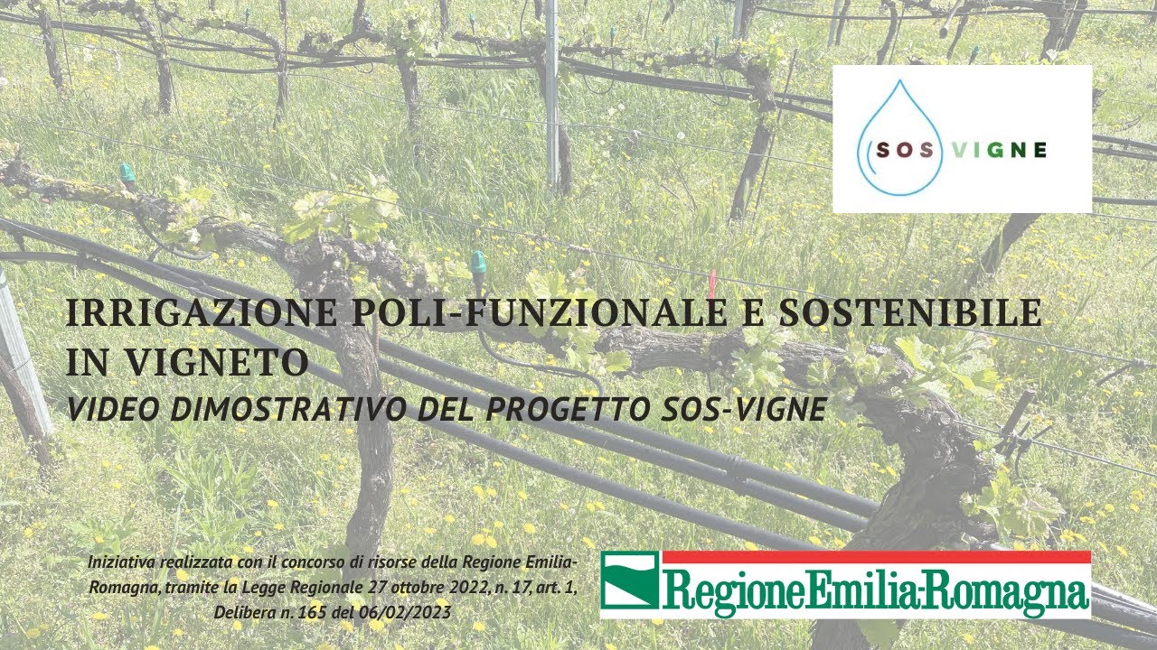 Многофункциональное и устойчивое орошение виноградников — демонстрационное видео проекта SOS-VIGNE.
