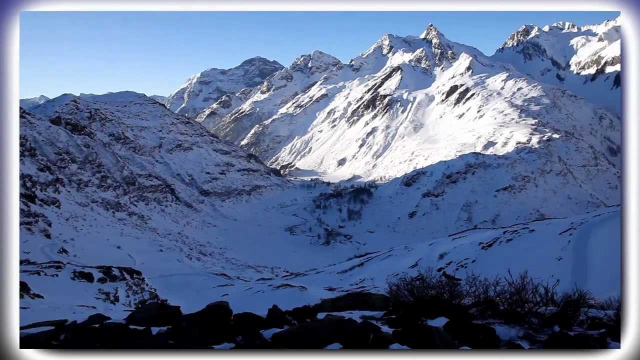 Bianco Riale