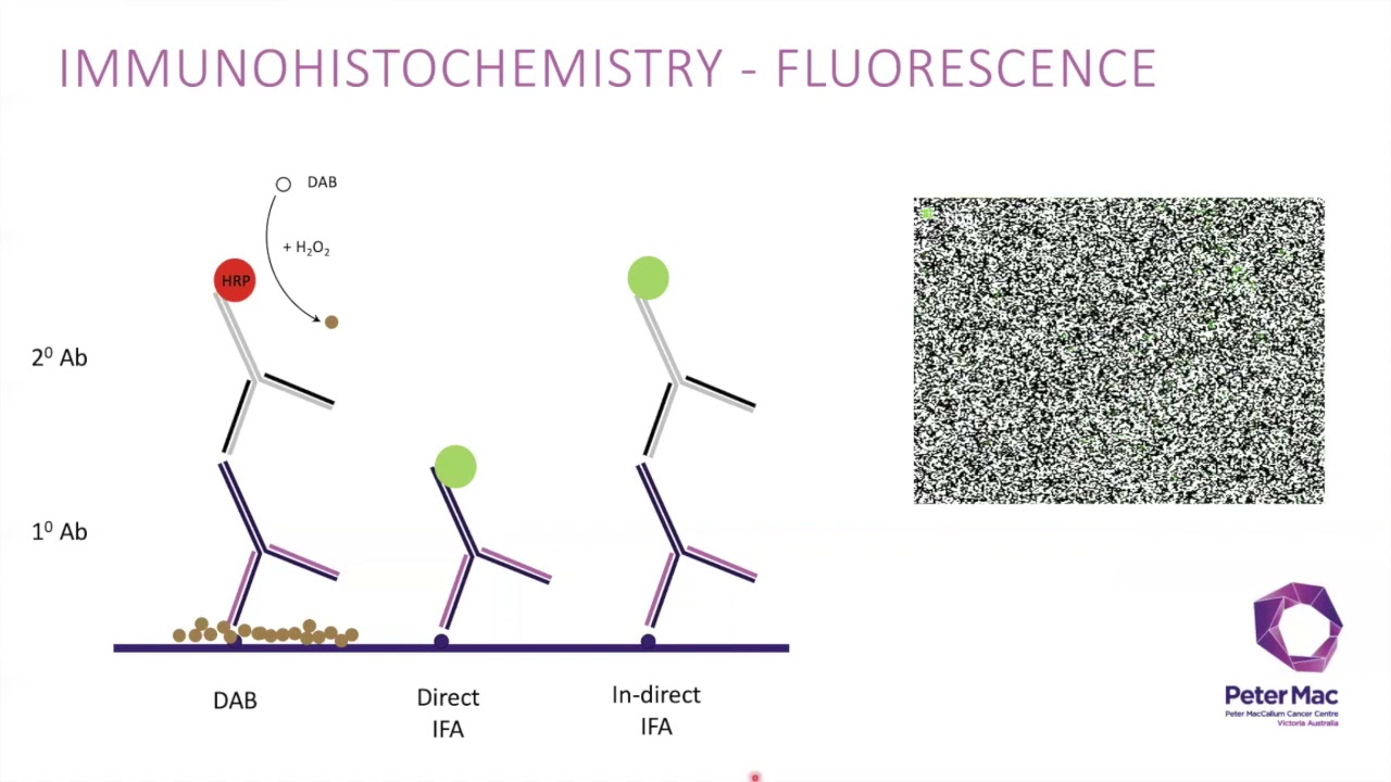 Talk 1: Introduction to OPAL multiplex Immunohistochemistry