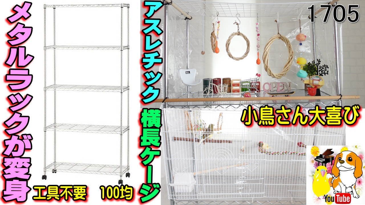 工具不要 DIY｜100均商品とメタルラックで鳥さん大喜び❣アスレチック＋快適横長ケージを手作り #1705