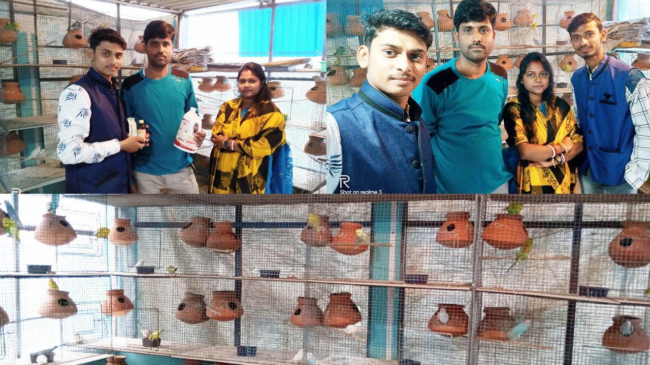 Visit khokon bhai ka 80 pair separate cage & 20 pair finch cages progress