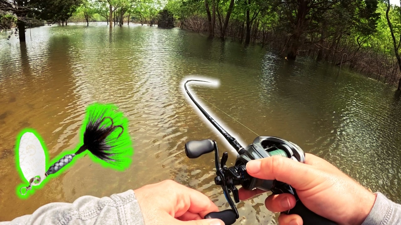 BFS and Rooster Tails | Flooded Lake Multi-Species Fishing