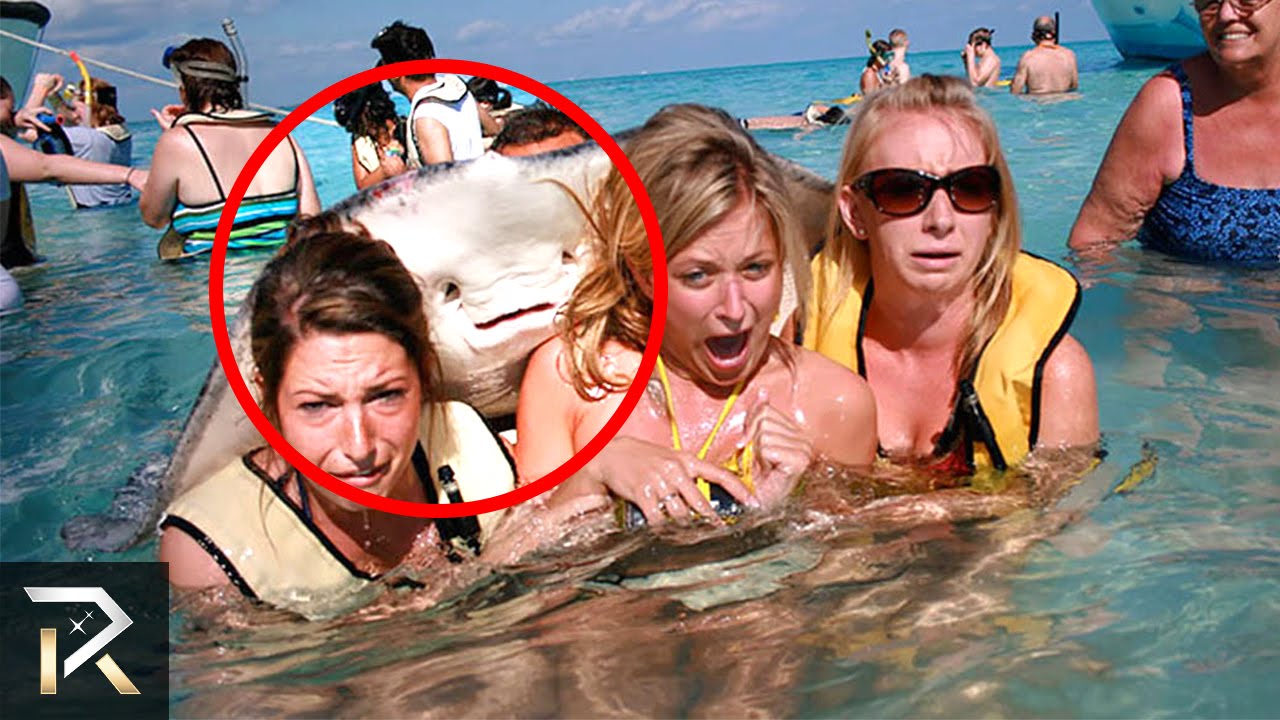 10 Hilarious Perfectly Timed Photos You Need To See