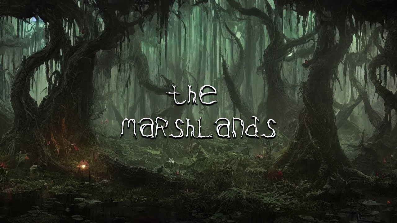 THE MARSHLANDS I 1 Hour Dnd Swampland Ambience