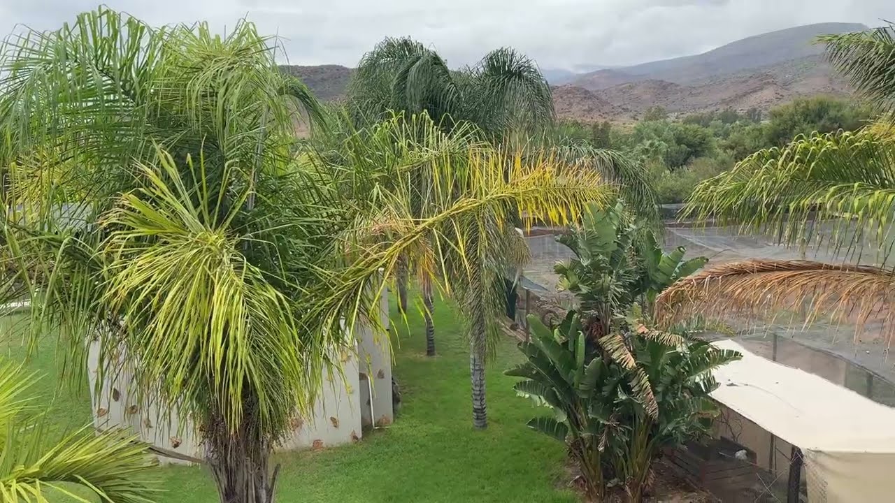 Karoowater Guest Farm | Mile 4