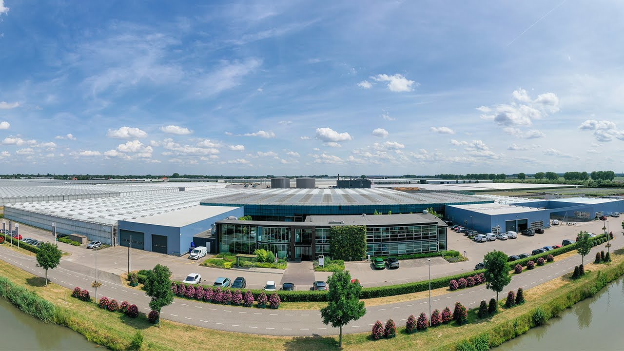 Mobilane - Building Green