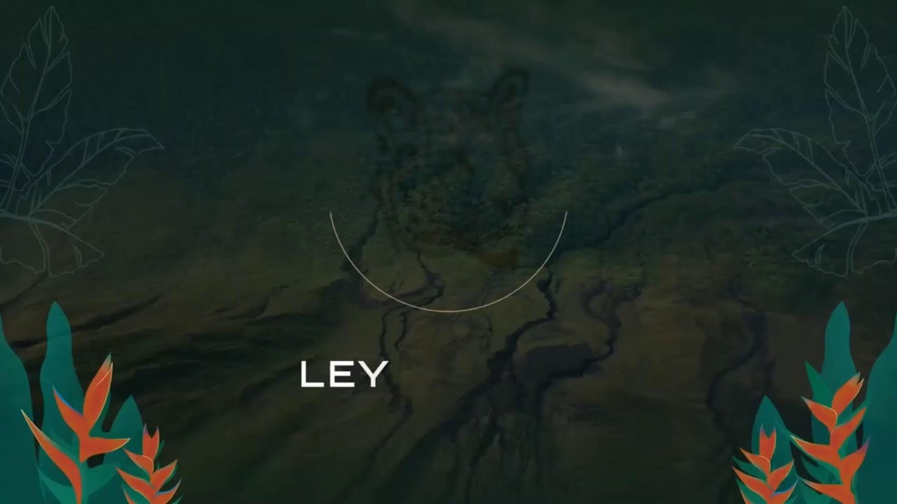 🔴 En Vivo l Explicación: Ley Jaguar para impulsar el desarrollo de CR