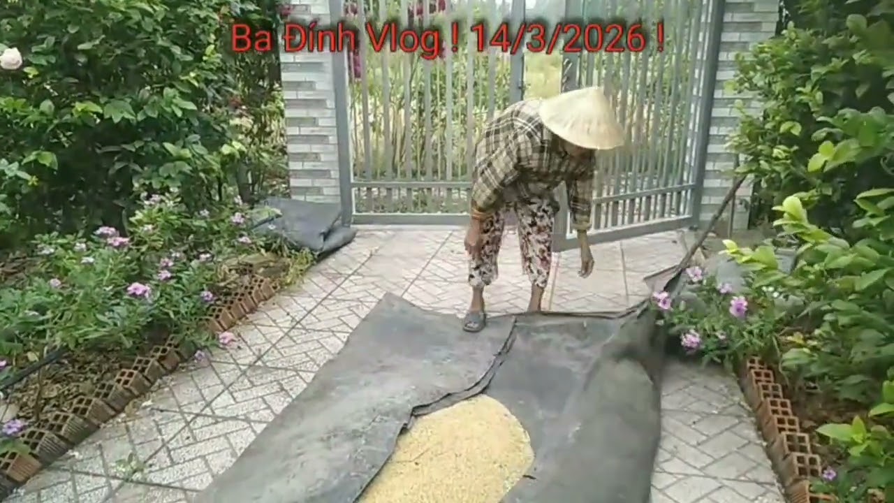 Ba Đính Vlog ! 14/3/2026 ! Bình thản cuộc sống nông thôn nông dân Việt Nam thời đổi mới