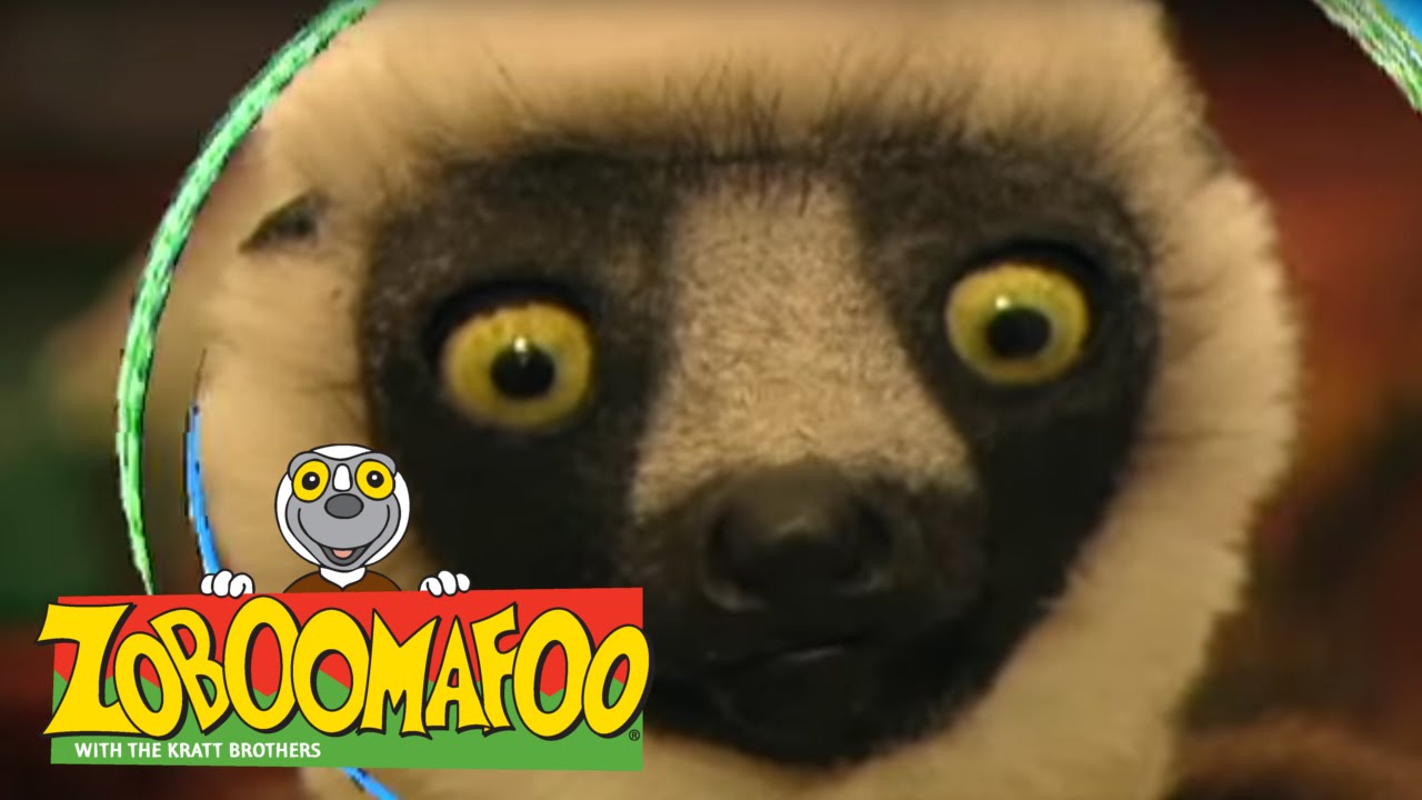 Zoboomafoo 117 - Ears Hear (Full Episode)