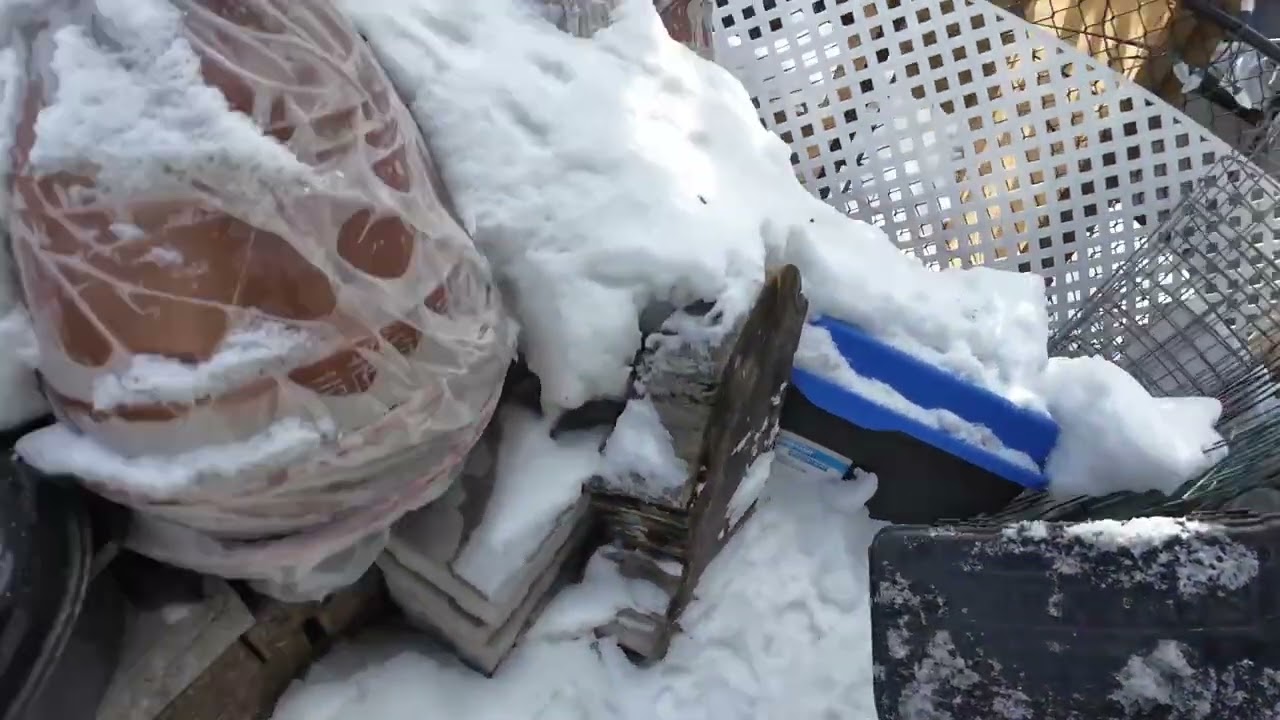 Perimeter Bait Station Rebait – Exterior Rat Service (Toronto)