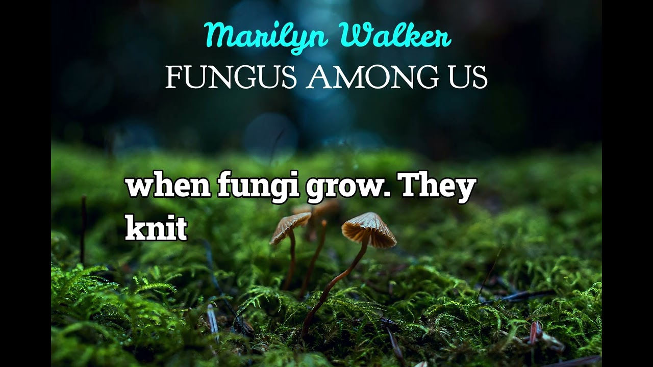 Fungus Among Us