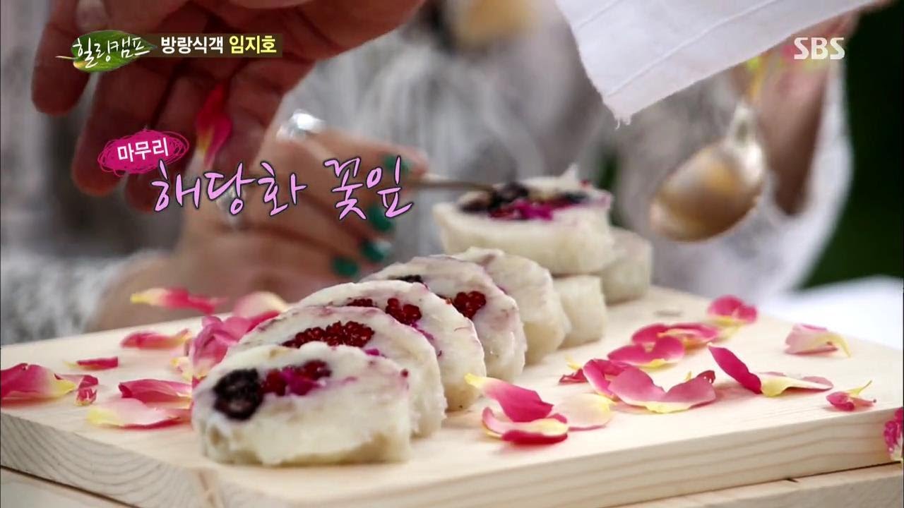 힐링캠프(임지호) 20130708