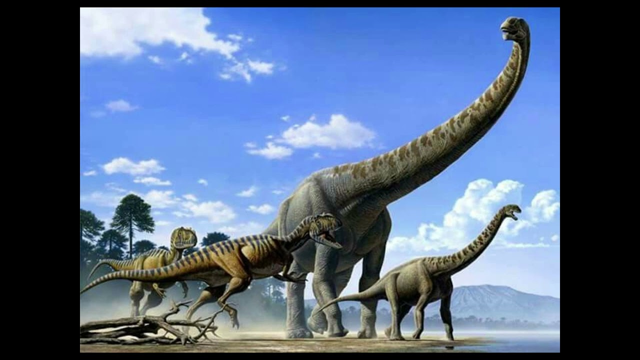 Stock dinosaur sound effects 4