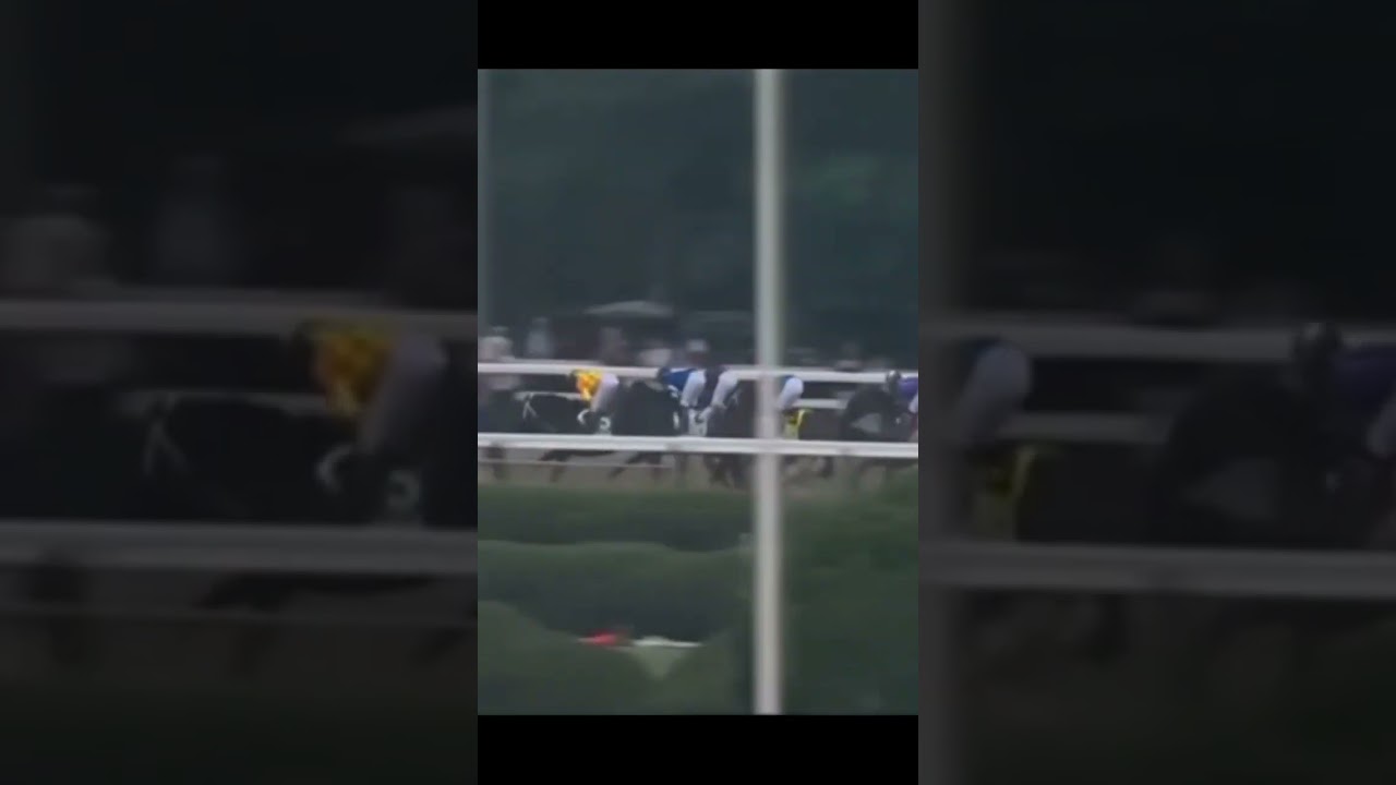 SOVEREIGNTY BEATS JOURNALISM at Belmont Stakes #breakingnews #horseracing