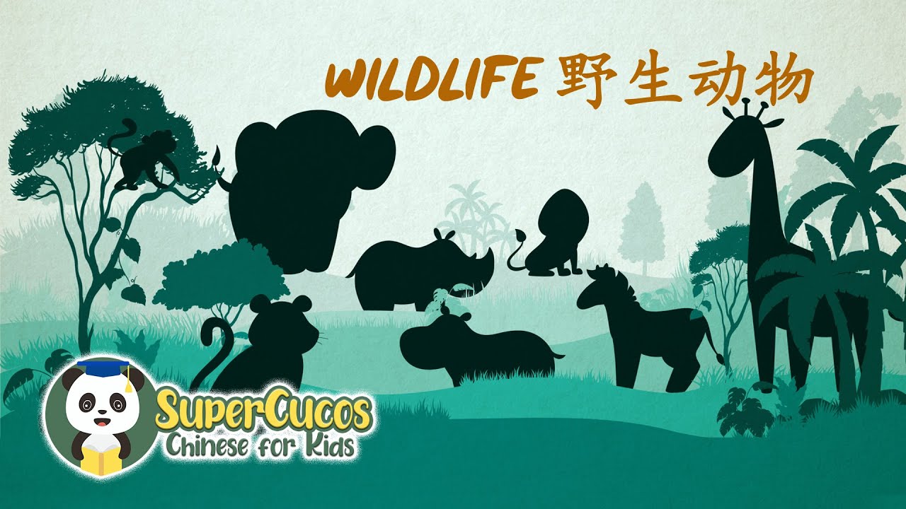 Learn Chinese for Kids- Wildlife | 学中文- 野生动物| Aprender Chino - Fauna Silvestre