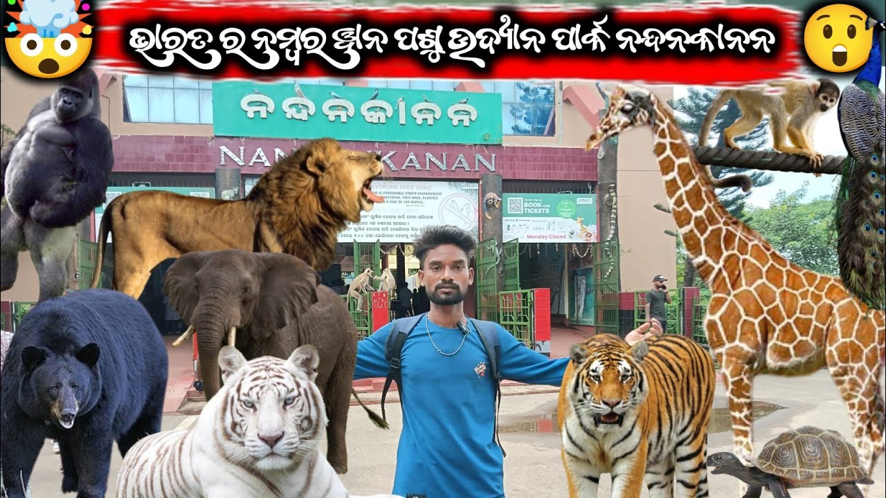 Nandankanan Bhubaneswar ।।  Nandankanan Zoological park Bhubaneswar ।। Raj Sekhar Creation