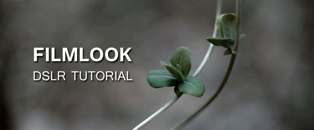 DSLR Tutorial: How to get the Filmlook & what you're doing wrong!