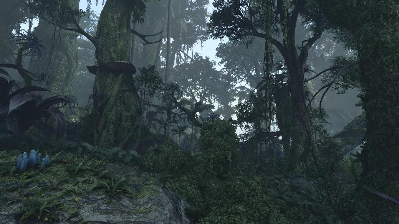 Avatar Ambience