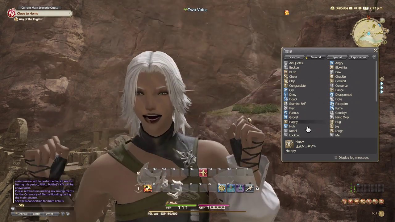 Emotes and Battle Voices of Female Elezen