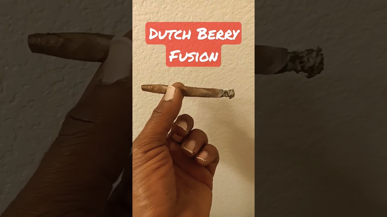 Smoking Dutch Berry Fusion #wakeandbake #cannibus #shorts