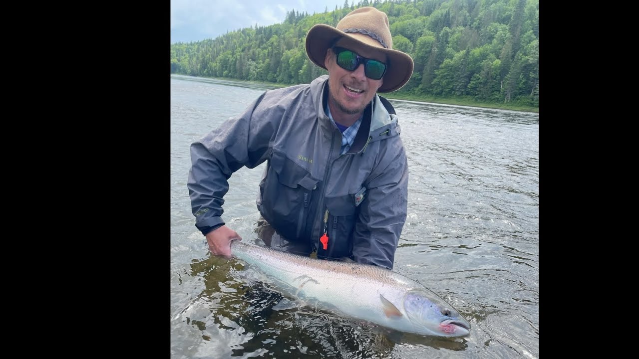 Restigouche Atlantic Salmon on the fly. #AtlanticSalmon #Restigouche #tubefly #Hardyperfect
