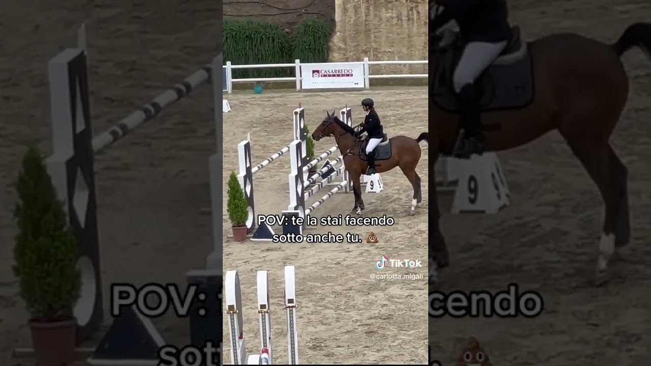 Aiuto ahahah #noflop #equitazione #cavalli #horseriding #horse #maneggio #campoProva #gara