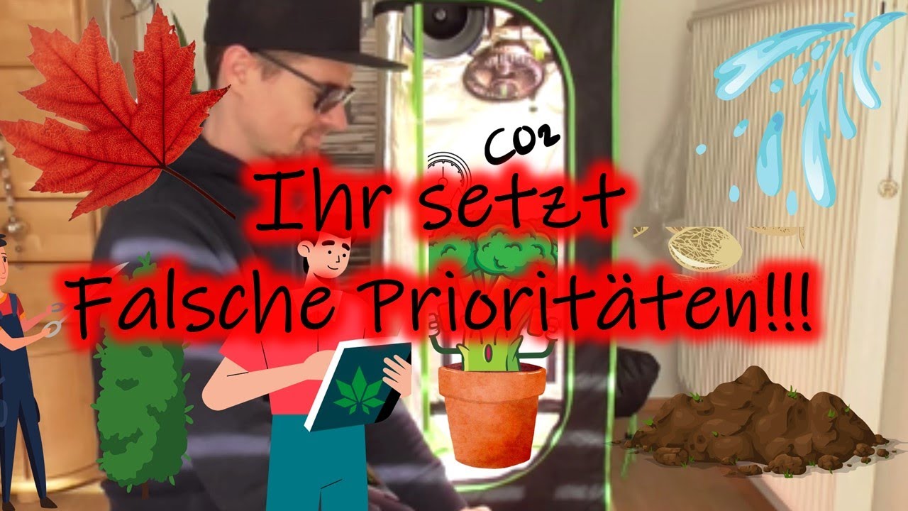 17 Wege zu mehr Effizienz im Growzelt 🥦 | Indoor Grow optimieren | Ertrag erh&ouml;hen