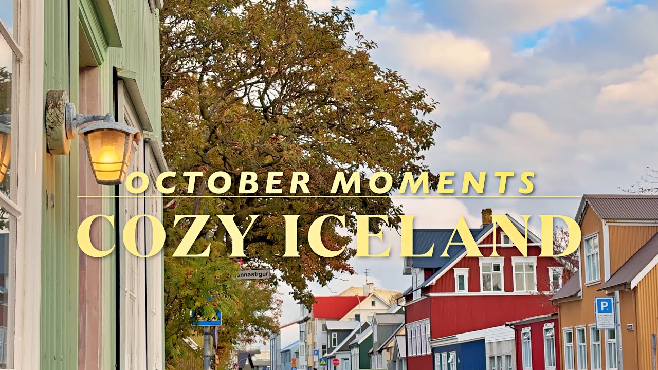 🍂 October moments | How I find peace after work | Cozy Reykjavik | Planting cat grass 🐈🌱