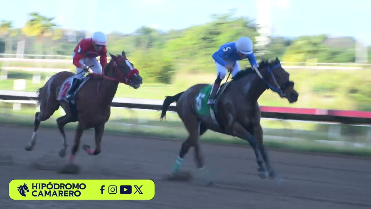 CARRERA 6 - 13/MARZO/2026 (CASH LUNA)