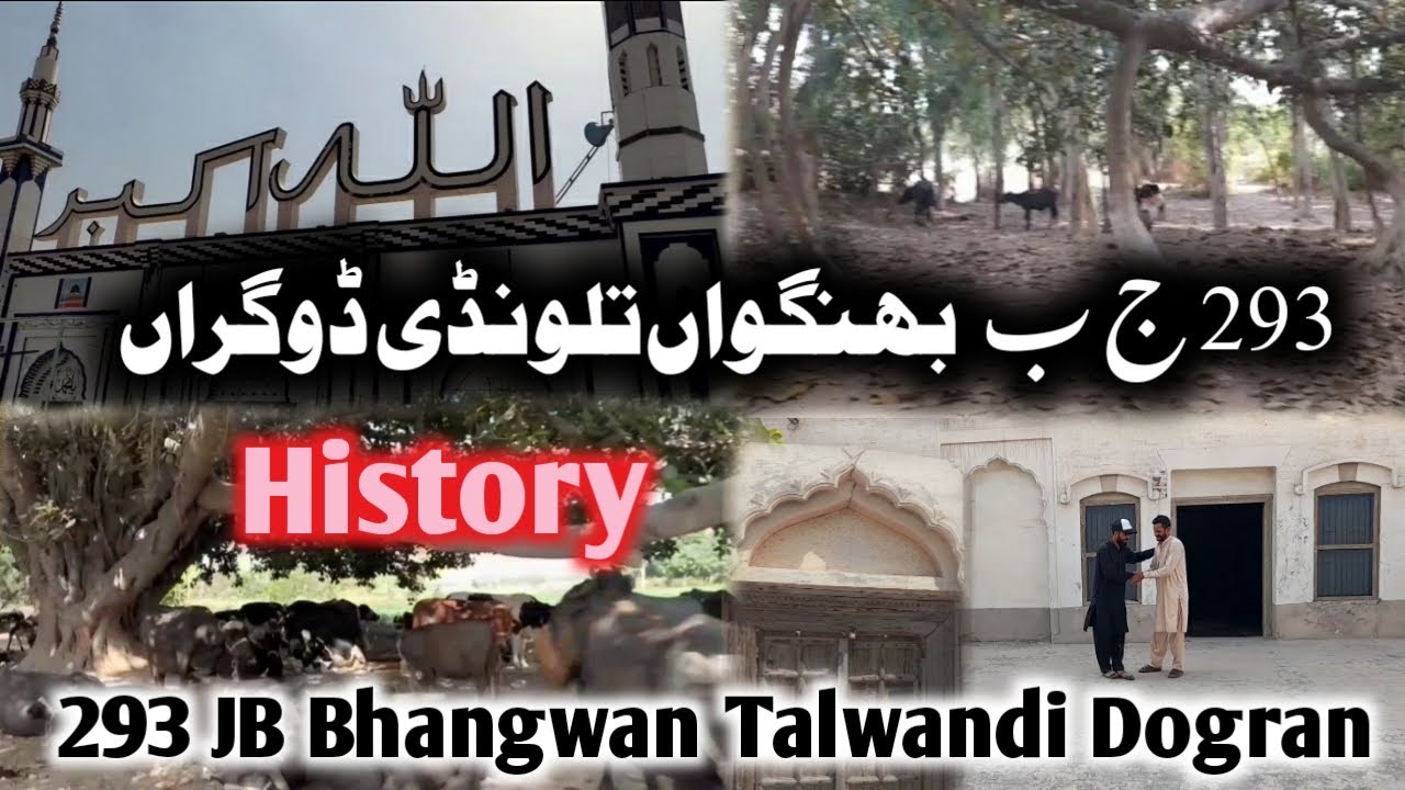 293 jb Bhangwan, 293 JB Talwandi Dogran, Toba Tek Singh, Pakistan, History 293, History Punjab, Uc33