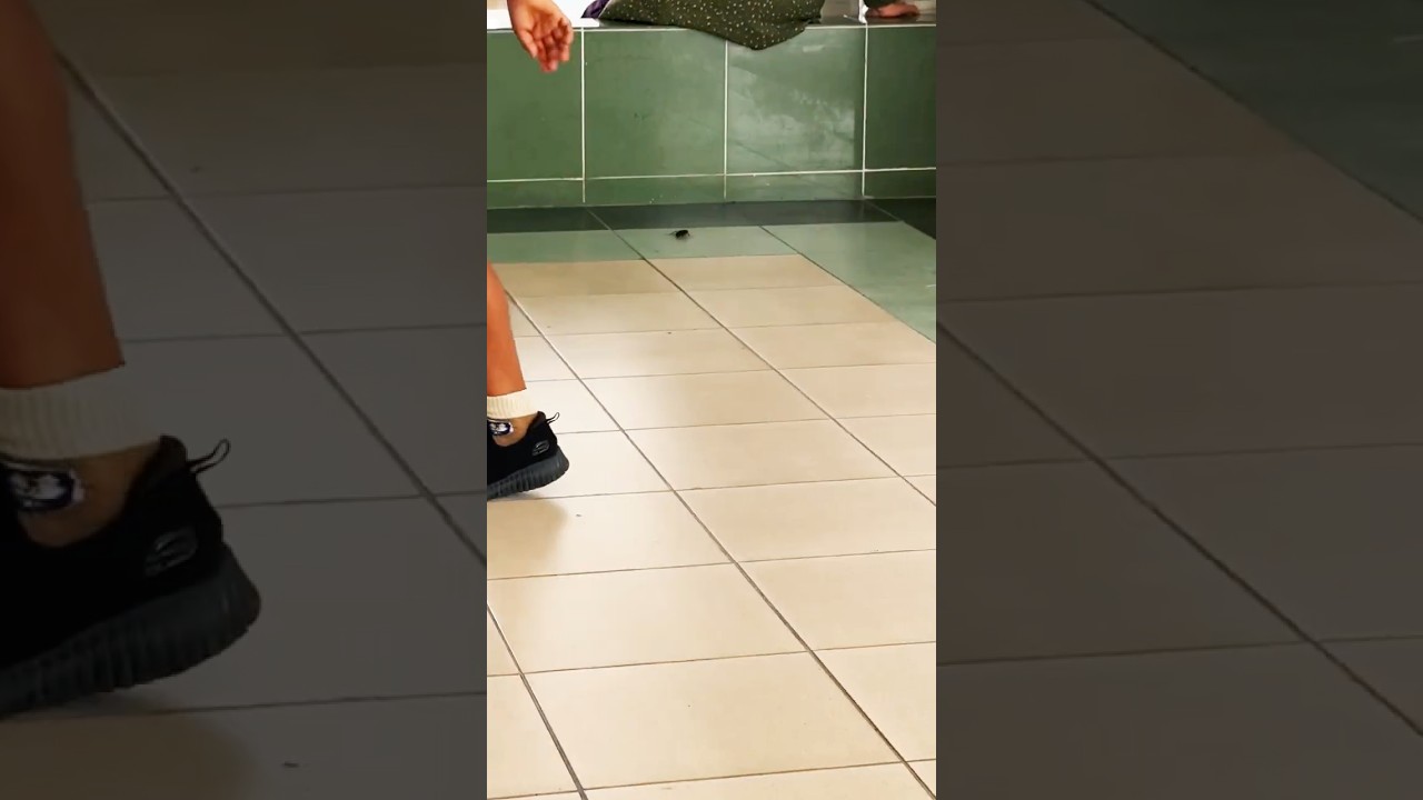 THE COCKROACH WAS SCARED OF NIKE AIR JORDAN 4 NAVY BLUE!