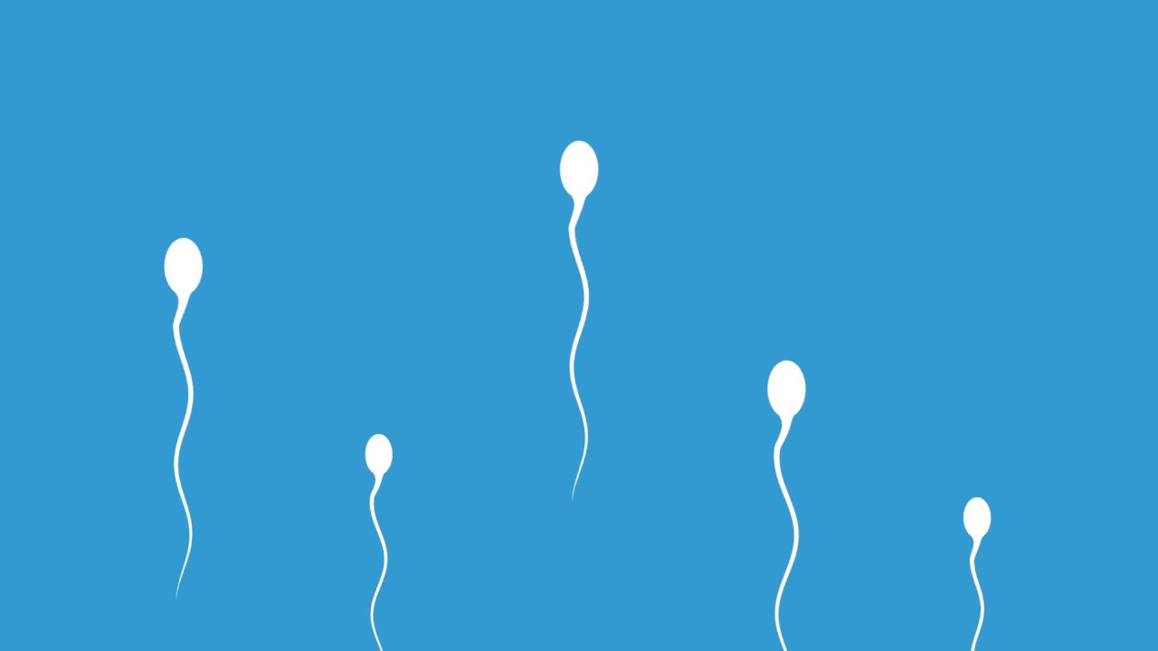 ¿Qué es el coitus interruptus? | Planned Parenthood Video