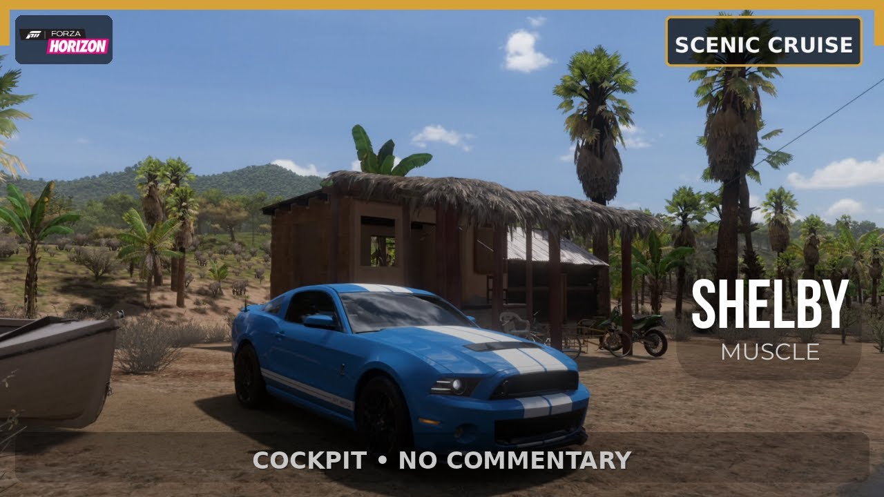 FH5 2013 Ford Mustang Shelby GT500 Cruise: Day to Night (Cockpit View • No Commentary)