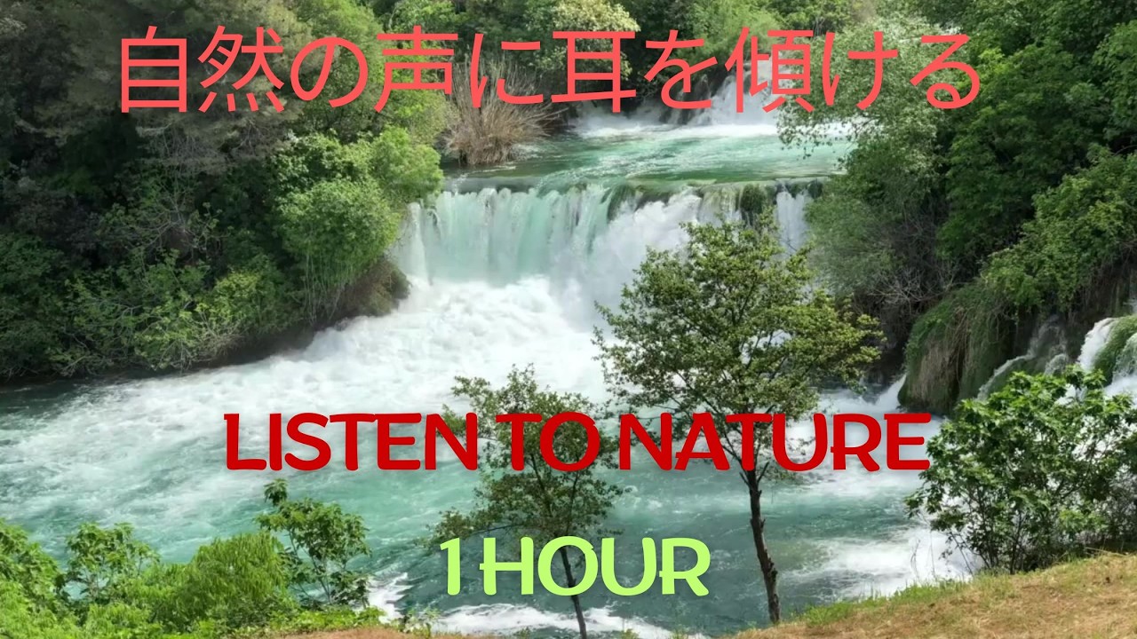 “Let Your Soul Rest 💧 Calming Waterfall Moment | 魂を休ませよう”