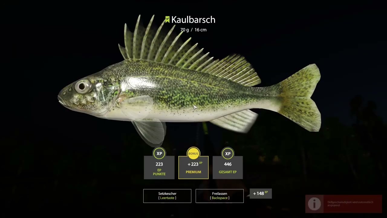 Russian Fishing 4| Trophyhunt Folge #006 - 1x Trophy Schläfergrundel