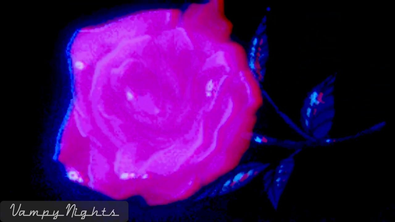 Decidiste Dejarme || Camila || Slowed and Reverb || Vampy Nights