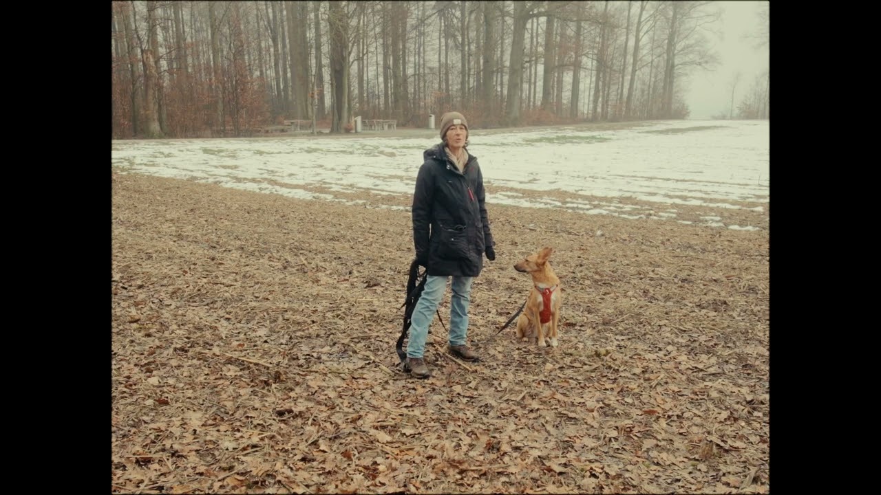 Erfolgsgeschichte | Brigitte & Lilu | Fortschritt mir ängstlicher Hündin