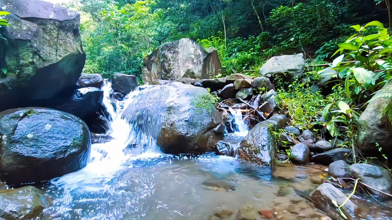 Natural River Sounds for Night Peace