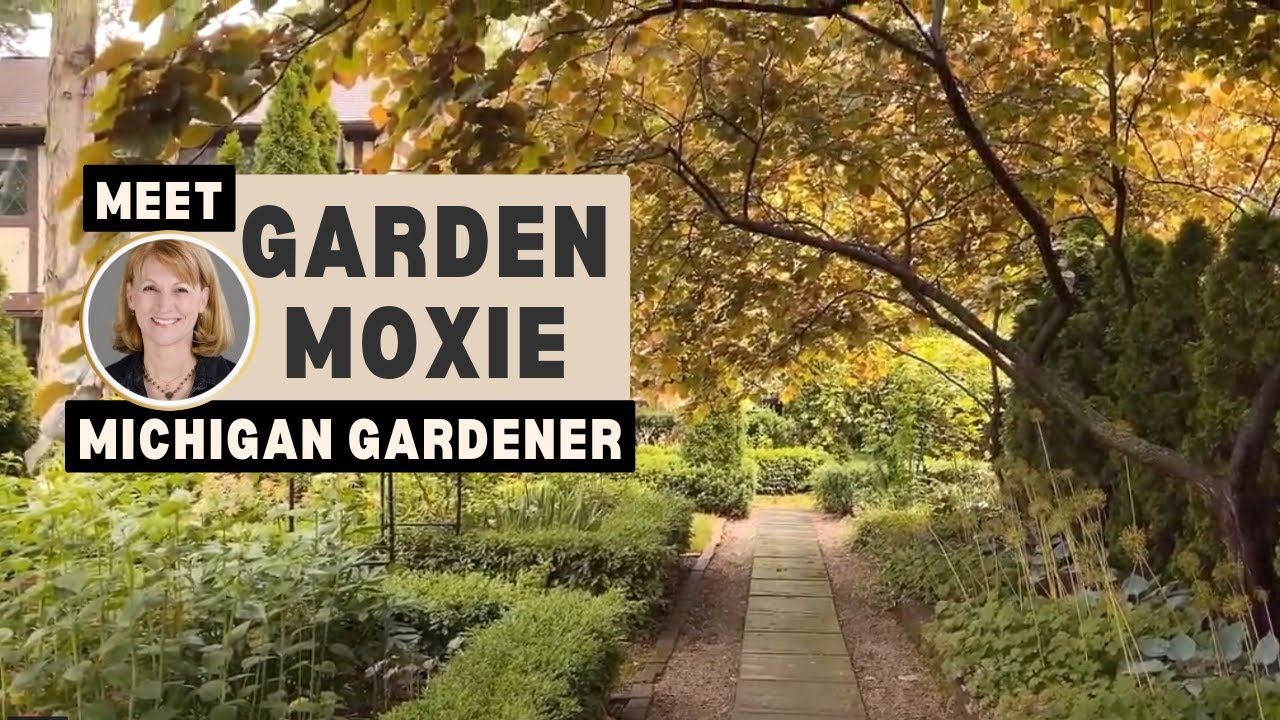 Gardening Chat with Garden Moxie🌳 A Formal beauty Full of Charm