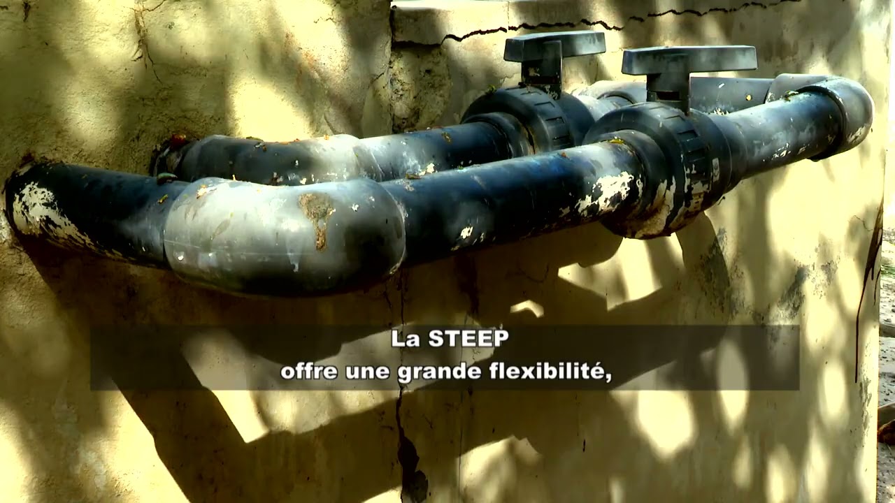 SENEGAL: de soluciones basadas en la naturaleza para el saneamiento - IFAN Cheikh Anta Diop Dakar