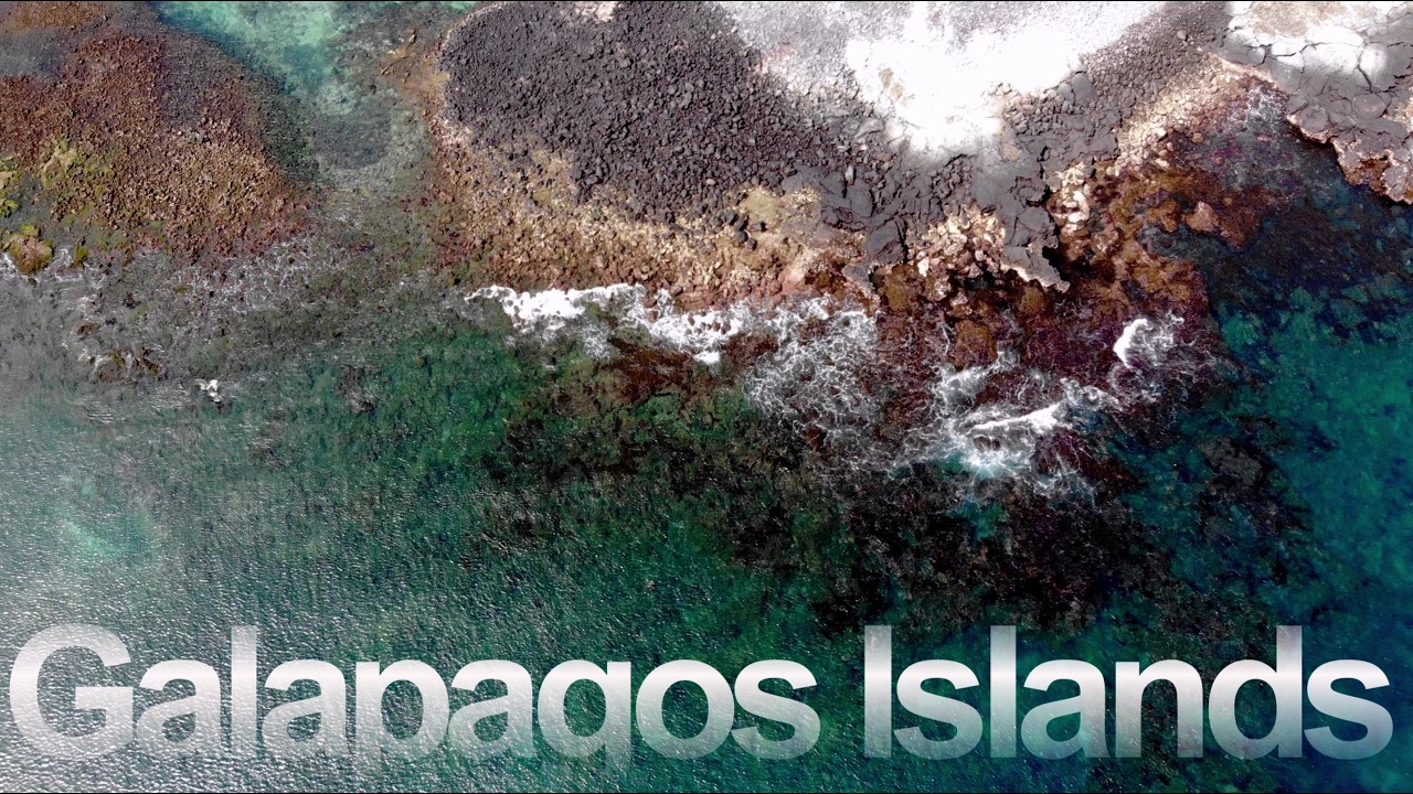 Galapagos, the Islands that speak to our souls