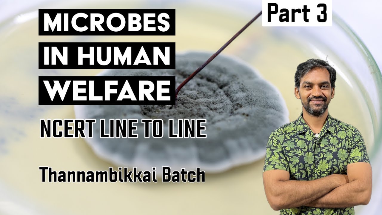 Microbes in Human Welfare | Part 3 | NCERT line to line | Thannambikkai Batch